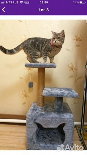 Домики для кошек