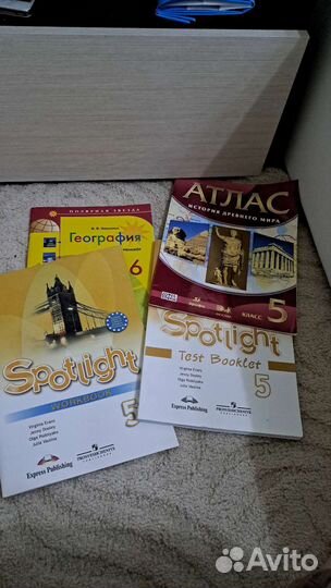 Рабочие тетради 5 класс