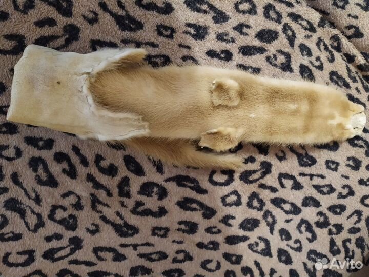 Шкурка из норки