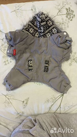 Зимняя одежда для небольшой собачки