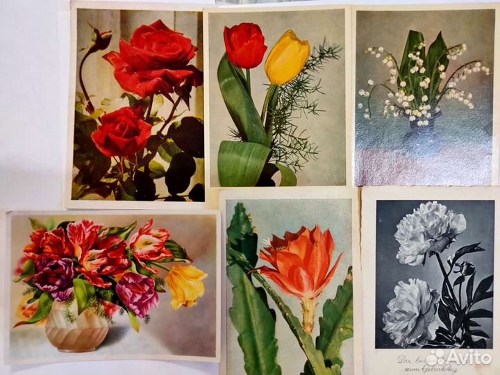 Немецкие открытки прошлого века,винтаж