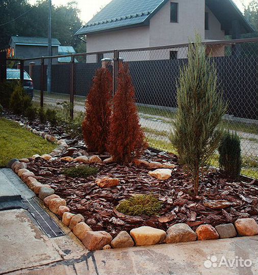 Мульча лиственницы и сосны