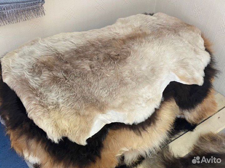 Шкуры овечьи красивые качественные