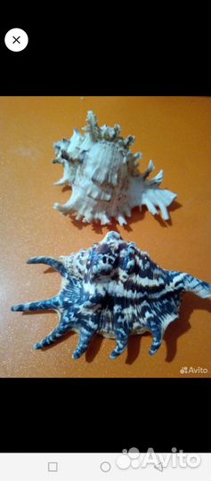 Декорации для акварима