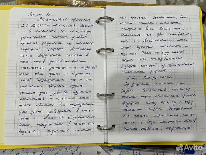 Перепишу лекции, конспекты, курсовые