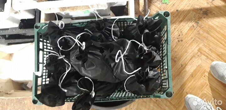 Черви дендробена. От производителя