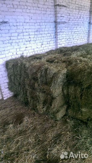 Сено в тюках