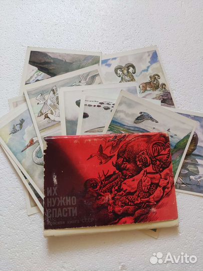 Открытки красная книга 