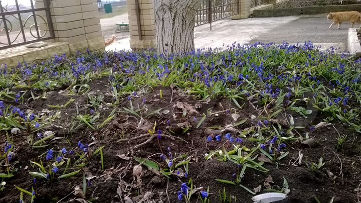 Коттедж 86 м² на участке 5 сот.