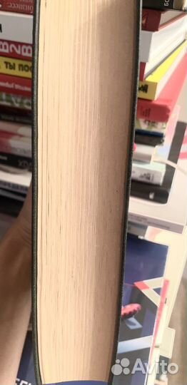 Собор Парижской Богоматери /Виктор Гюго