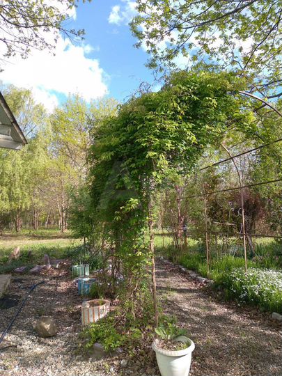 Дача 24 м² на участке 2,8 га