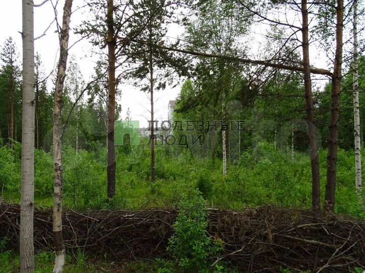 Участок 15 сот. (ИЖС)