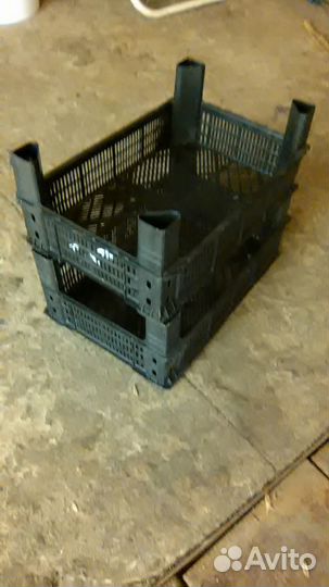 Ящики для ягод