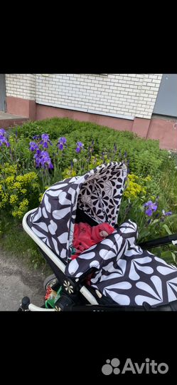 Коляска 2 в 1 cosatto