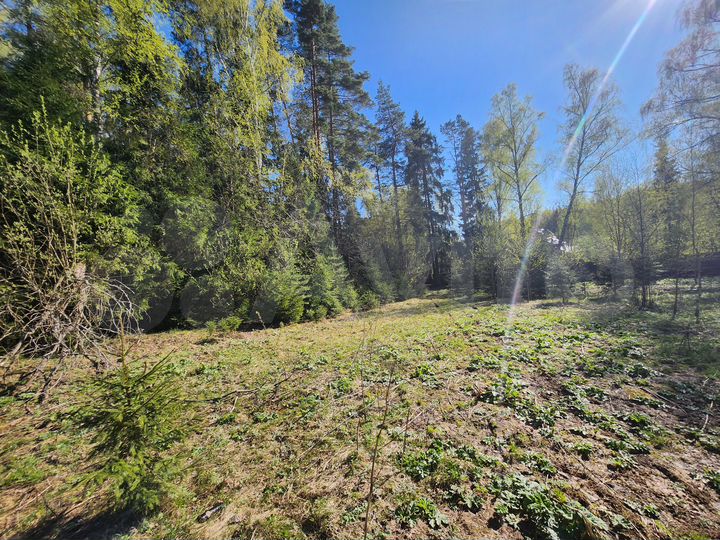 Участок 14,6 сот. (ИЖС)