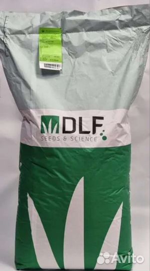 Газонная трава Рабустика