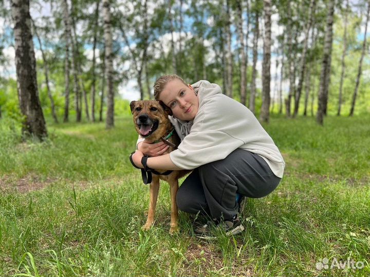 Никто не приходит