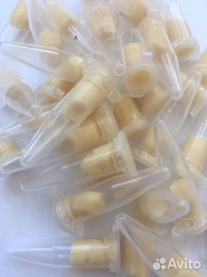 Капсулы Фелис-тм (Капсулы Жигиной ) от тараканов