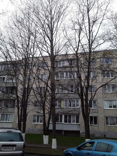 3-к. квартира, 73,3 м², 3/5 эт.