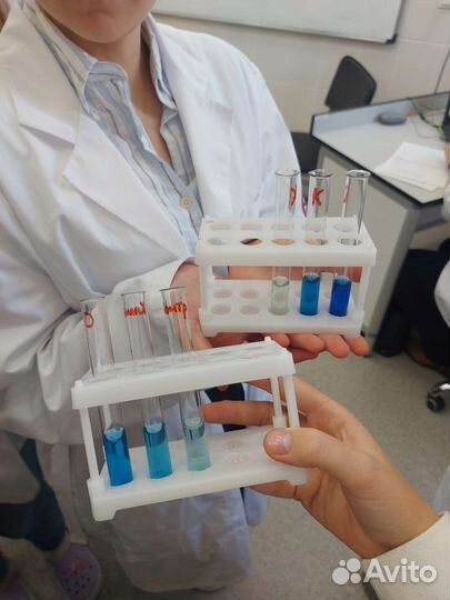 Репетитор по биологии и химии огэ и егэ онлайн