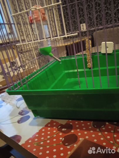 Клетка для грызунов бу