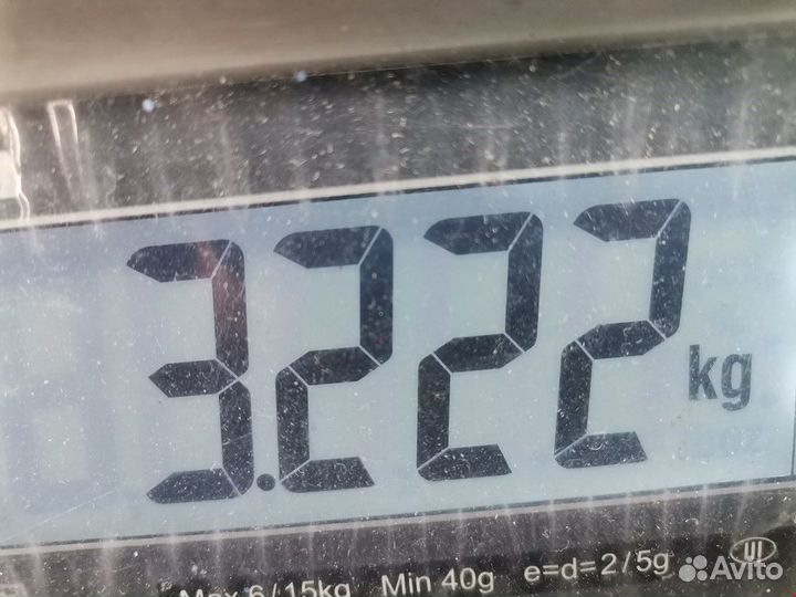 Рулевая колонка Volkswagen Bora 1999