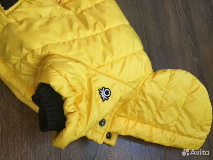 Одежда для собак