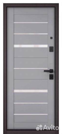 Входная дверь