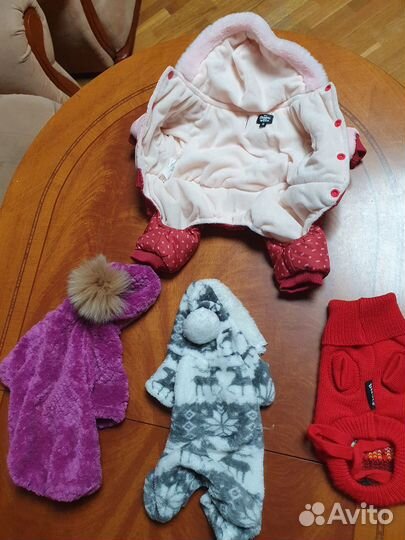 Одежда для маленькой собачки