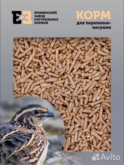 Корм для Перепелок-несушек 