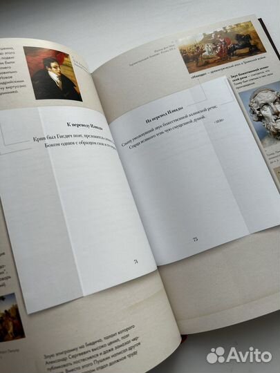 Стихотворения. А. С. Пушкин. Иллюстрированный