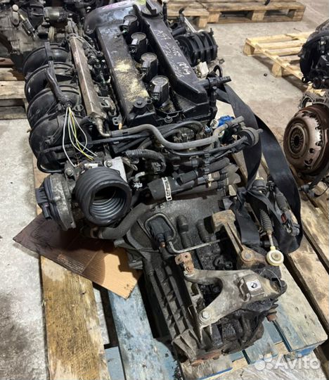 Двигатель Ford Focus 2 aoda