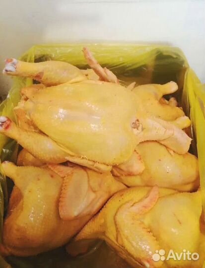 Мясо кур фермерское
