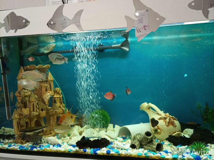 Аквариум с тумбой 300 литров