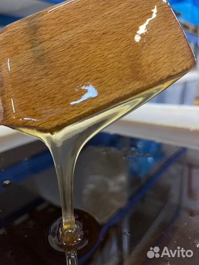 Свежий мёд разнотравье темное. Качка 2023 г. Оптом