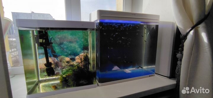 Аквариумы панорамные