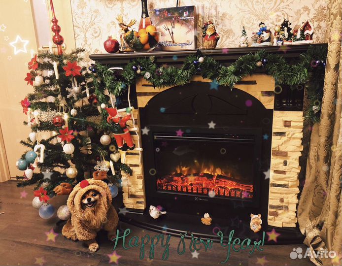 Передержка животных, выгул