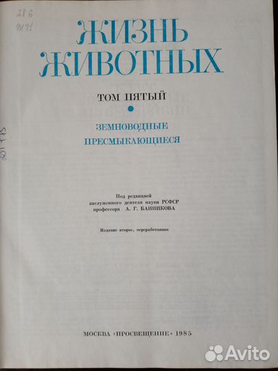 Жизнь животных