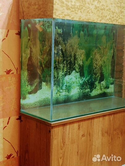 Аквариум с тумбой 200 л бу