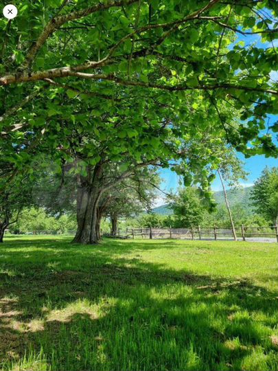 Участок 18 сот. (ИЖС)