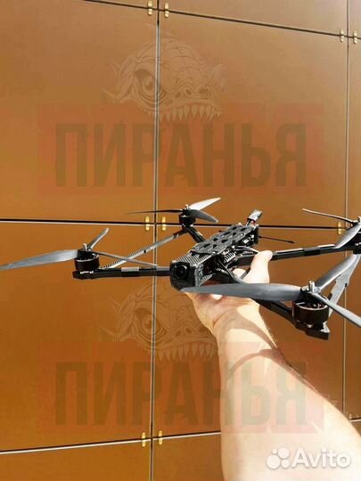 Квaдрокоптер фпв Пиpaнья 10 