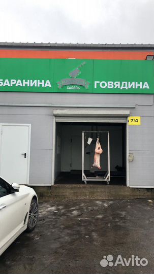 Баранина тушка халяль