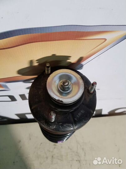 Амортизатор задний левый Chevrolet Epica V250