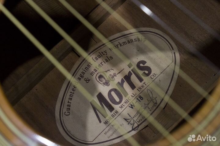 Акустическая гитара Morris W-18