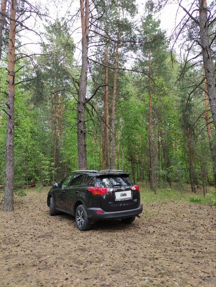 Toyota RAV4: фото владельца