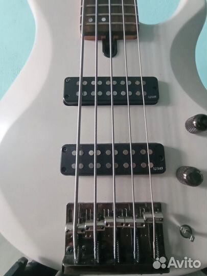 Yamaha trbx 505