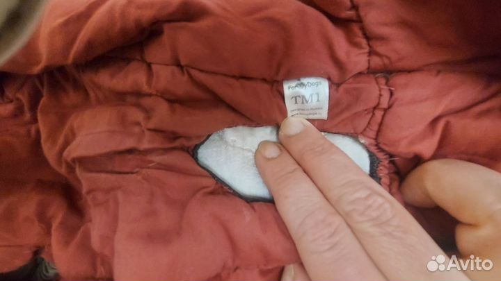 Комбинезон, пуховик для таксы на тм1 мальчик