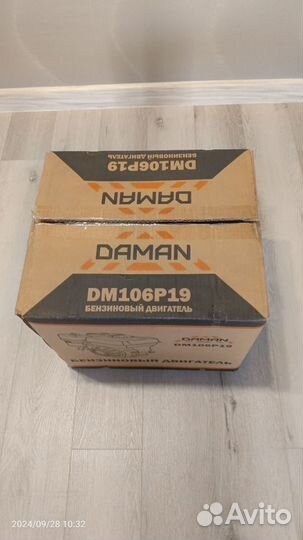 Двигатель Daman DM106P19