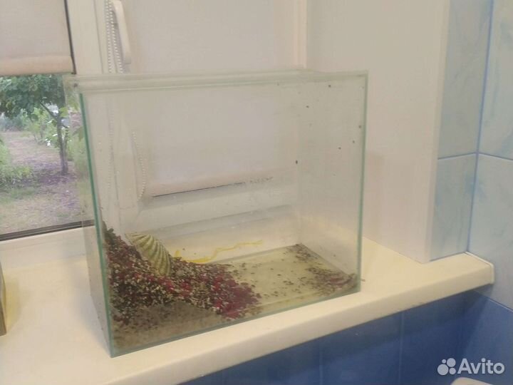 Аквариум