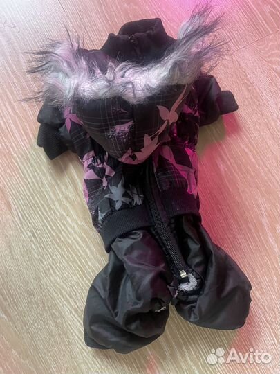 Зимний комбенизон для мелкой собачки